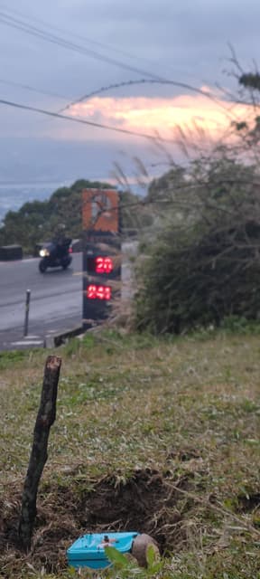 不知道是誰的墳墓 文化大學板 Dcard