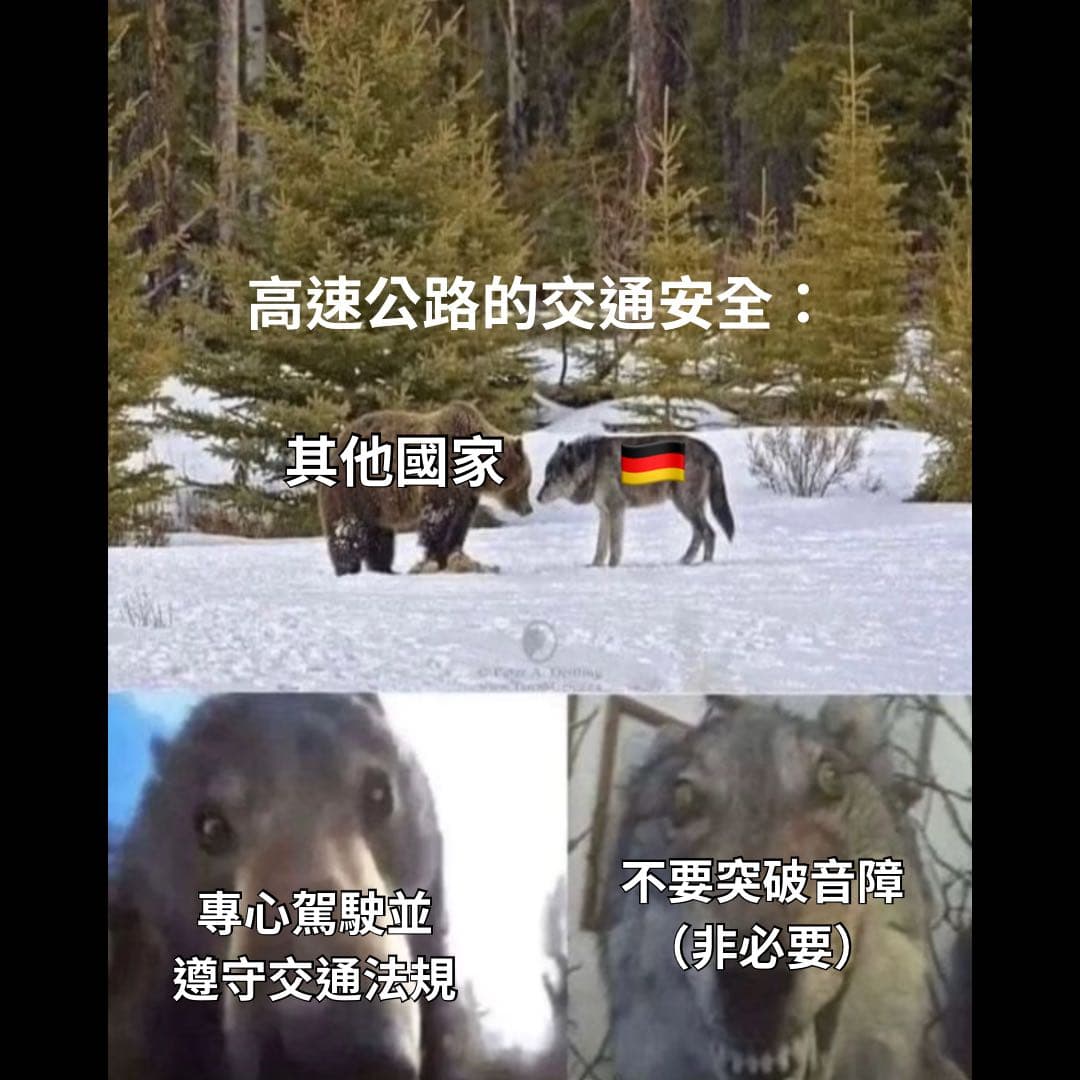 #翻譯 快還要更快 - 梗圖板 | Dcard