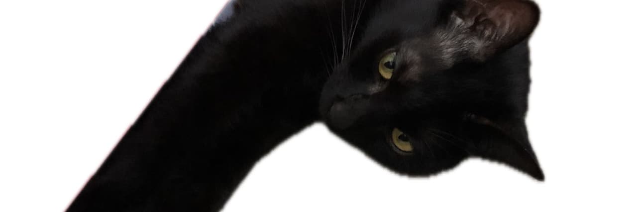 blackmeow