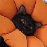 睡眠不足
