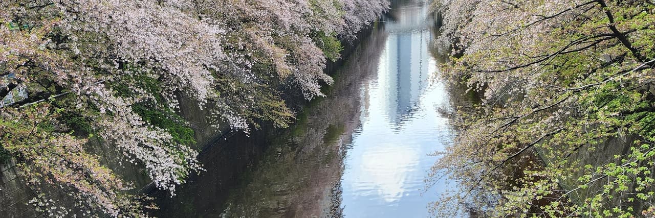 軟軟的土