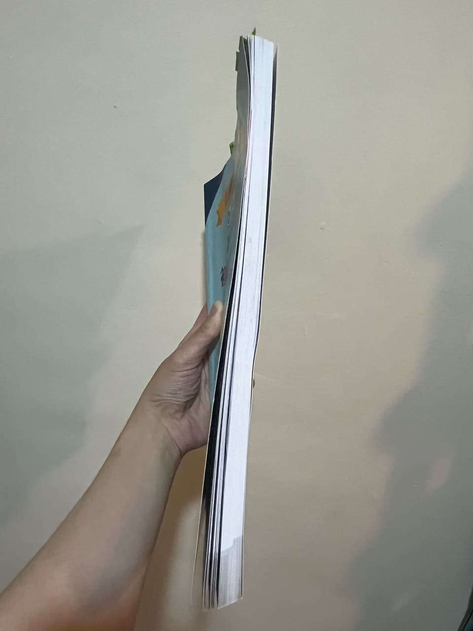 megapx