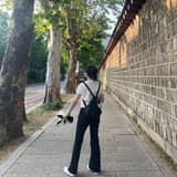 首爾社畜💼