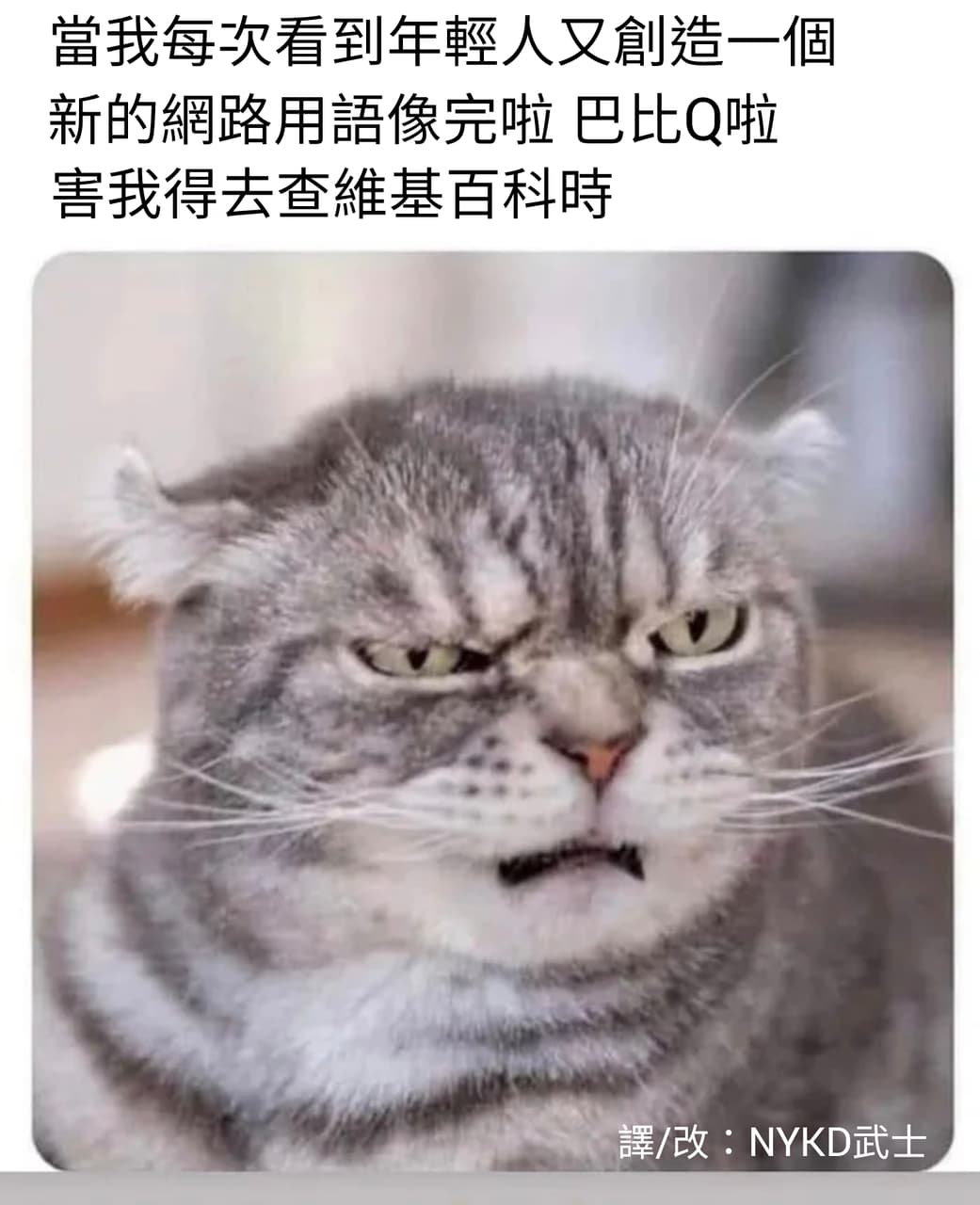 那是什麼意思- 梗圖板| Dcard