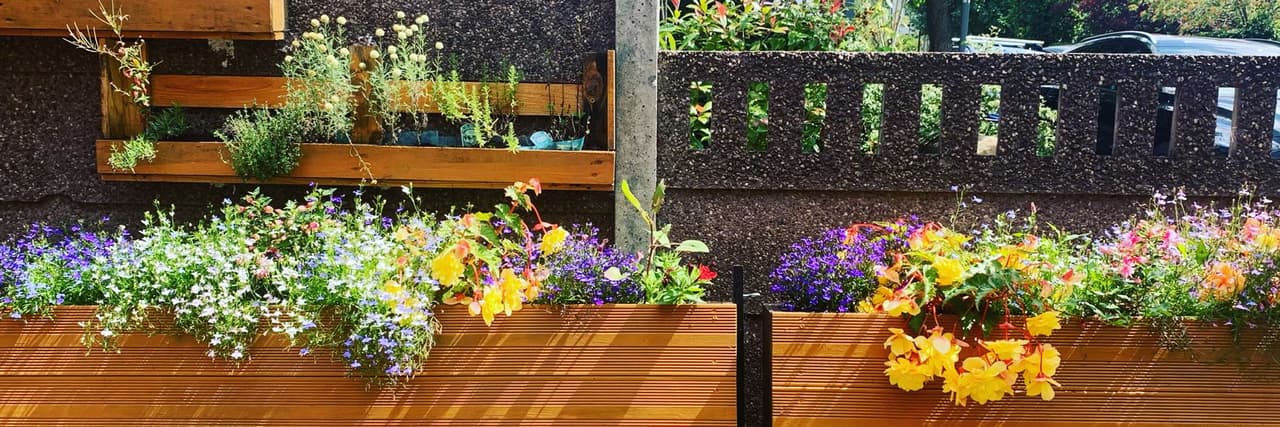 收藏盒的女子📸