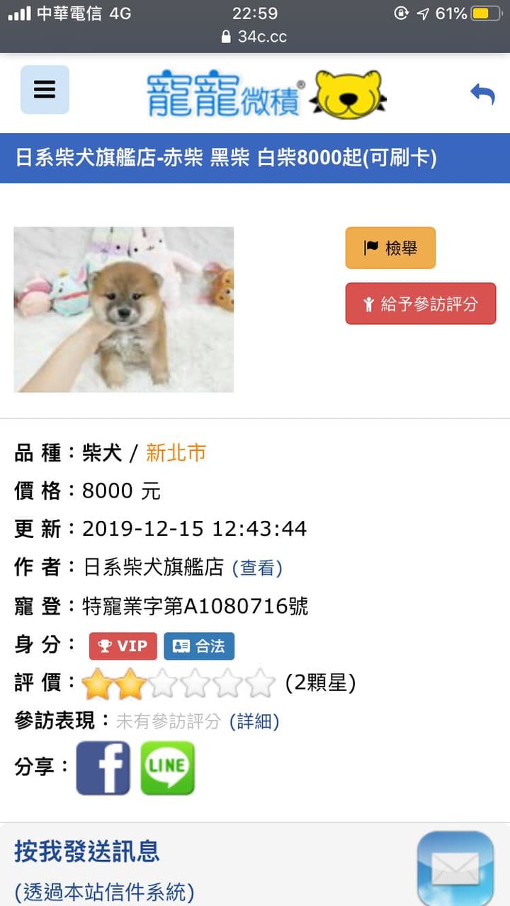 買豆柴養了七個月後是柴犬（更- 寵物板| Dcard