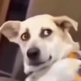 匿名