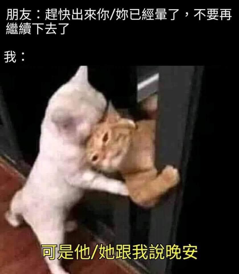 可是他跟我說晚安 - 梗圖板 | Dcard