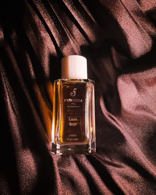 フエギア ルナロハ 1-22 限定値下げ✨ フエギア Luna Roja