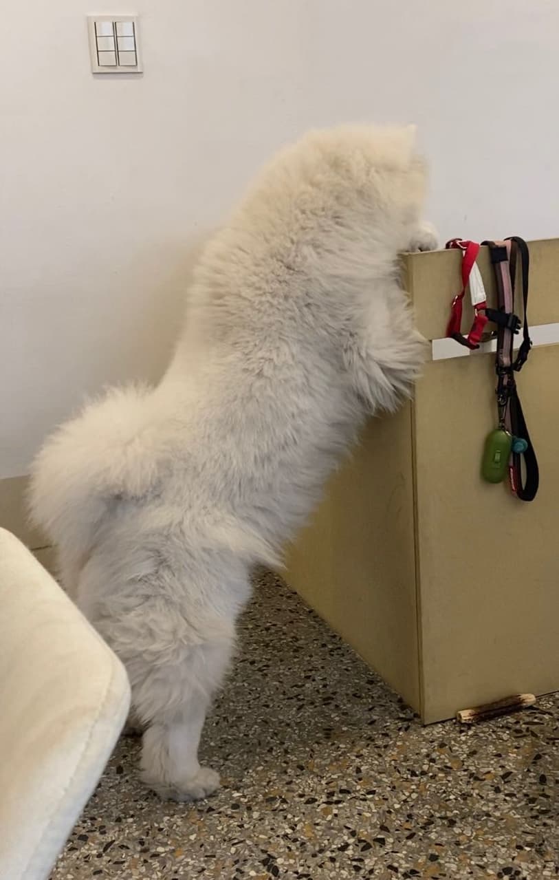 megapx