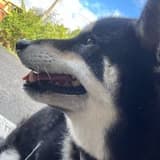 長髮公主