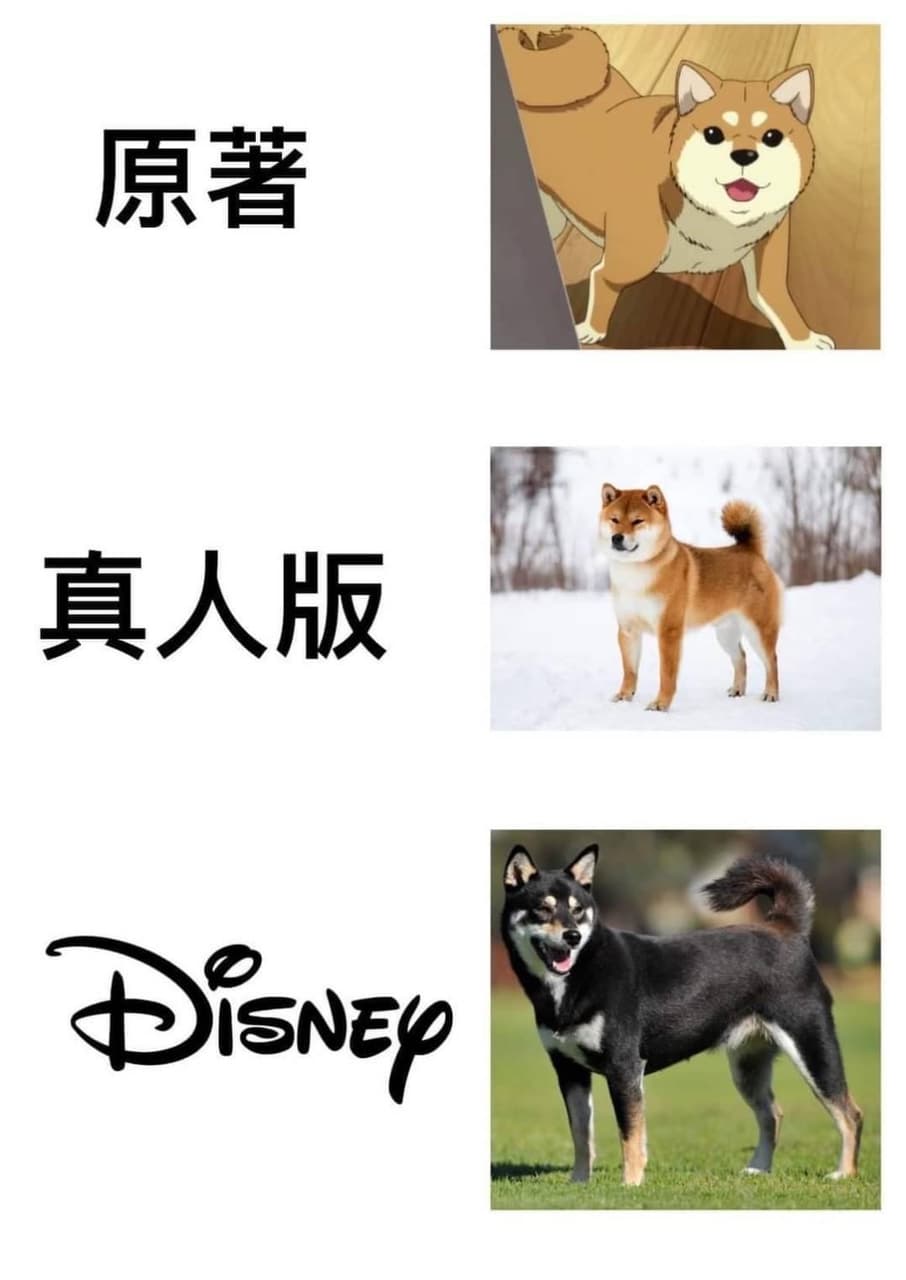 轉發迪士尼：政確就行- 梗圖板| Dcard