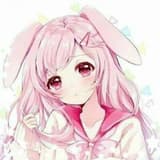 ʚ兔子ɞ