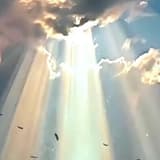 domybest_h