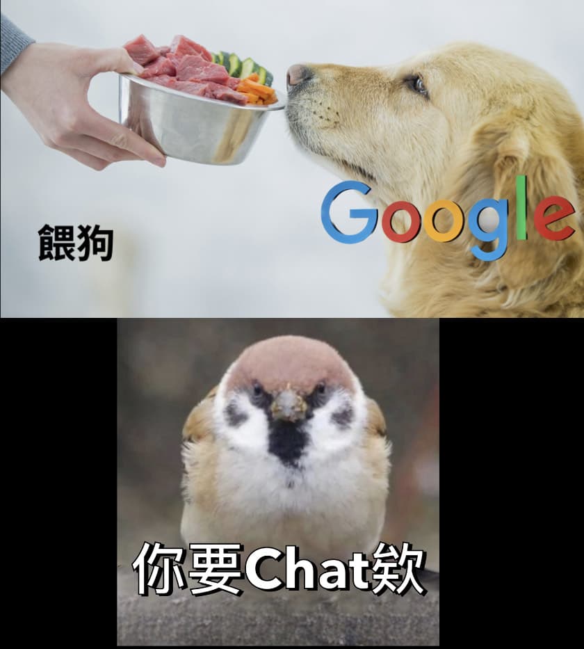 做功課的差異 - 愛貓成師 (@cbs9752079) | Dcard