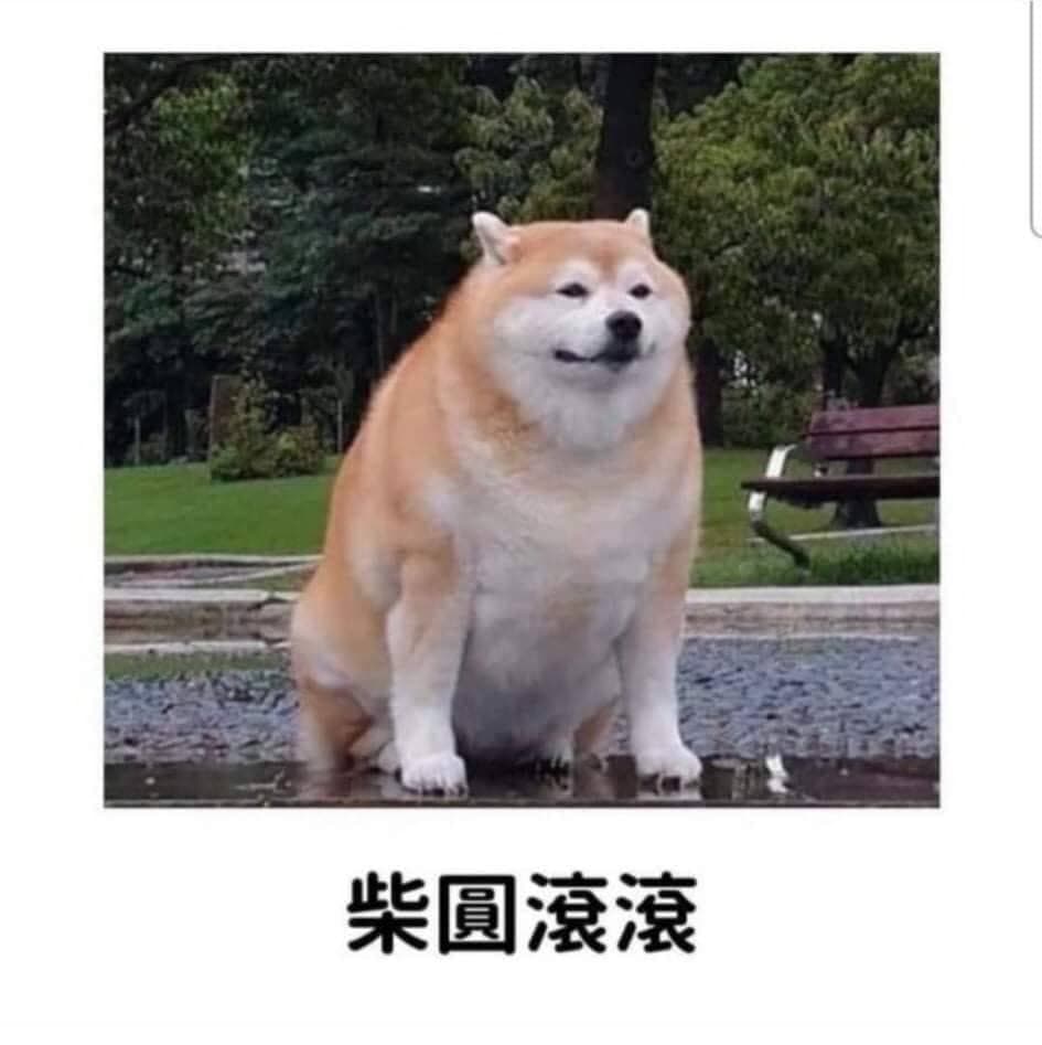 摸元寶求財落伍了,我都摸這個 - 梗圖板 | Dcard
