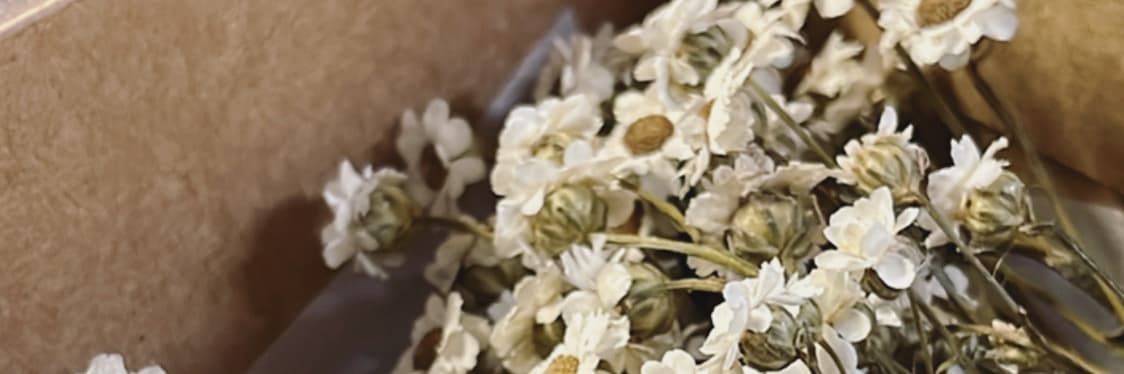 月薪焦妻🌼