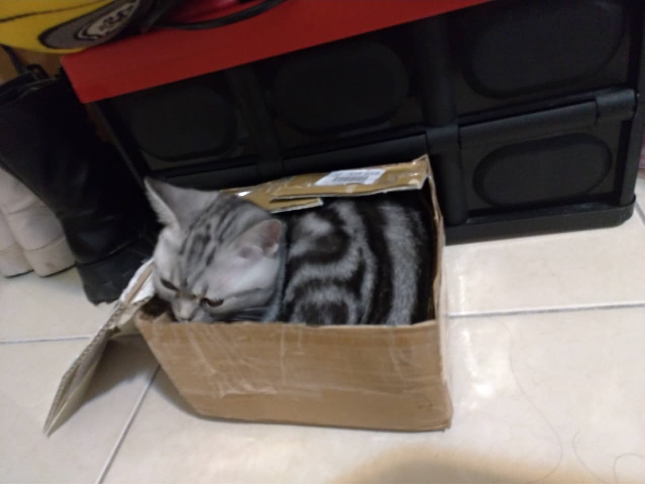 megapx
