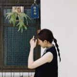 鴿資