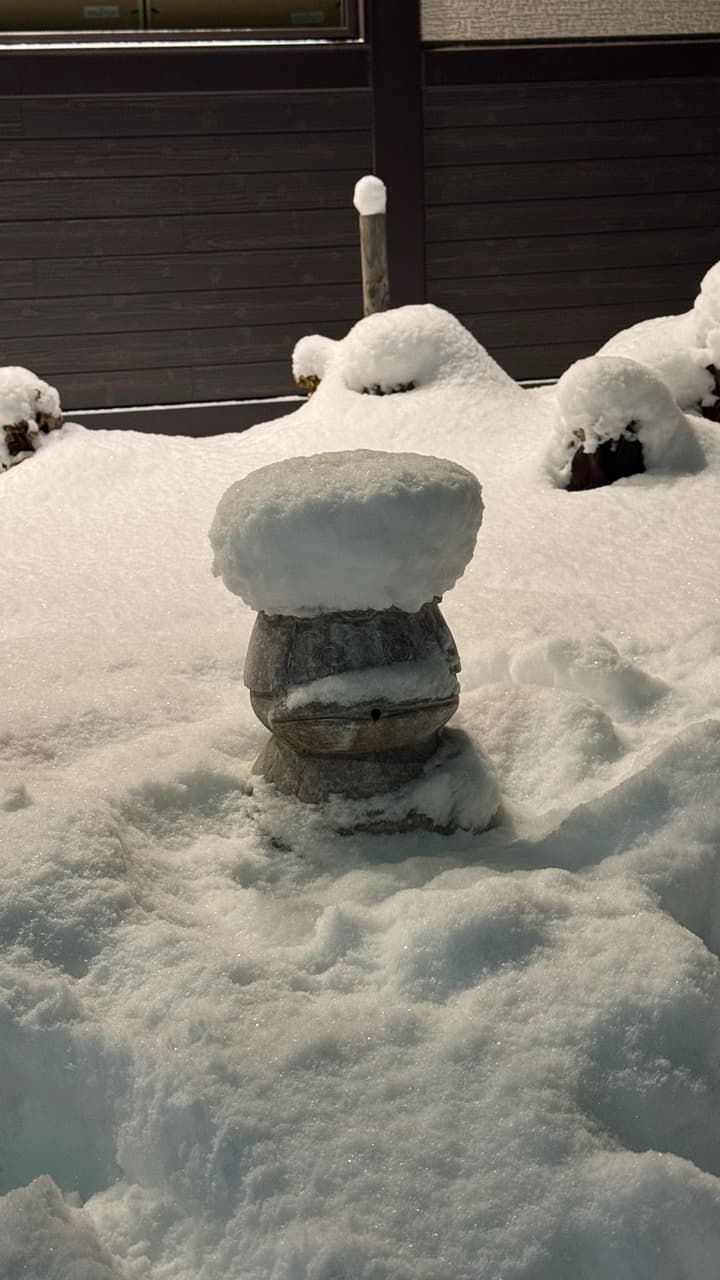 megapx