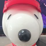 yy