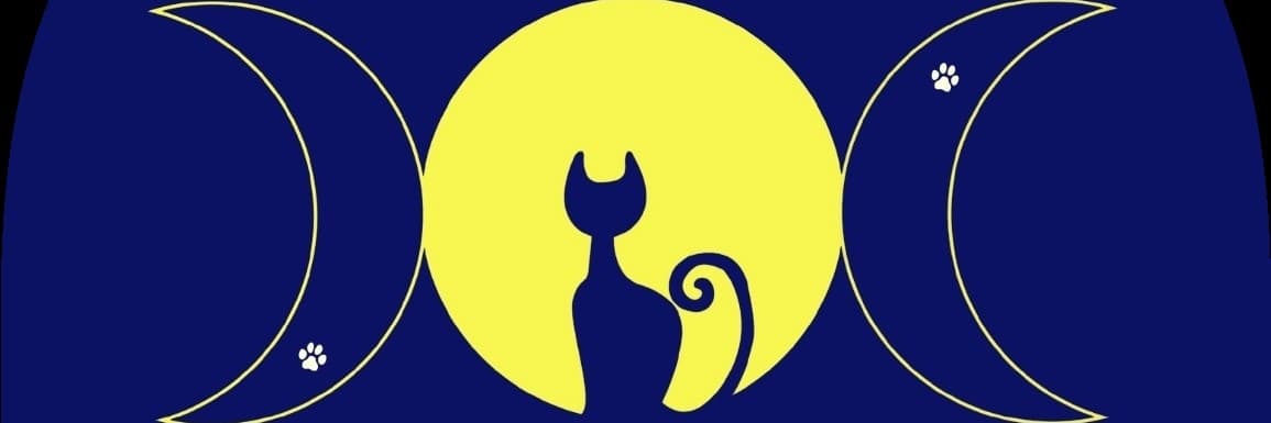 喵子🌙