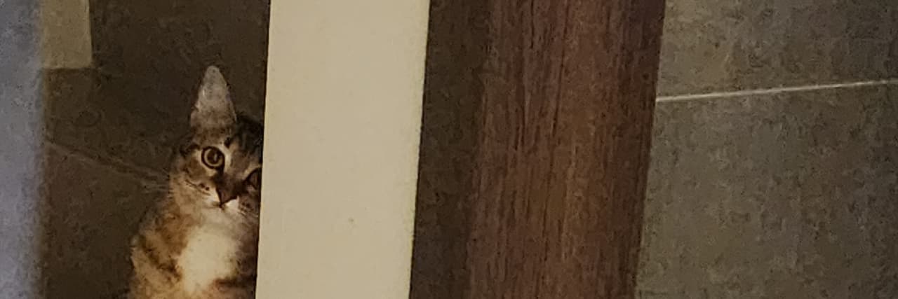 愛吃愛玩愛睡覺