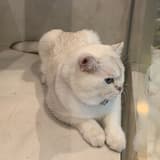 乘以六