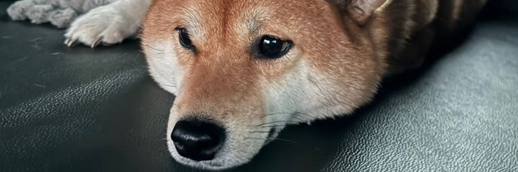 𝟛歲加𝟚歲 ◡ ☽⋆