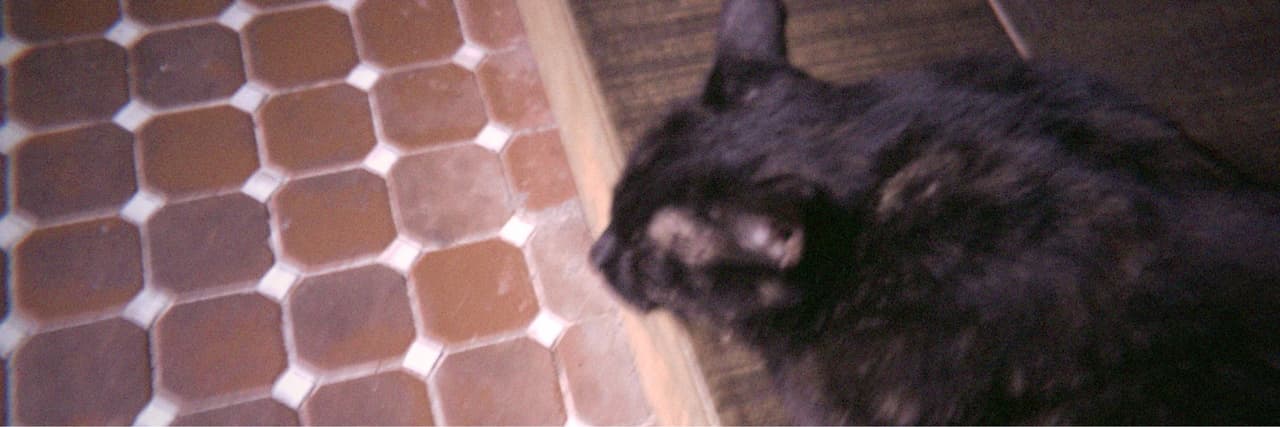 粒人
