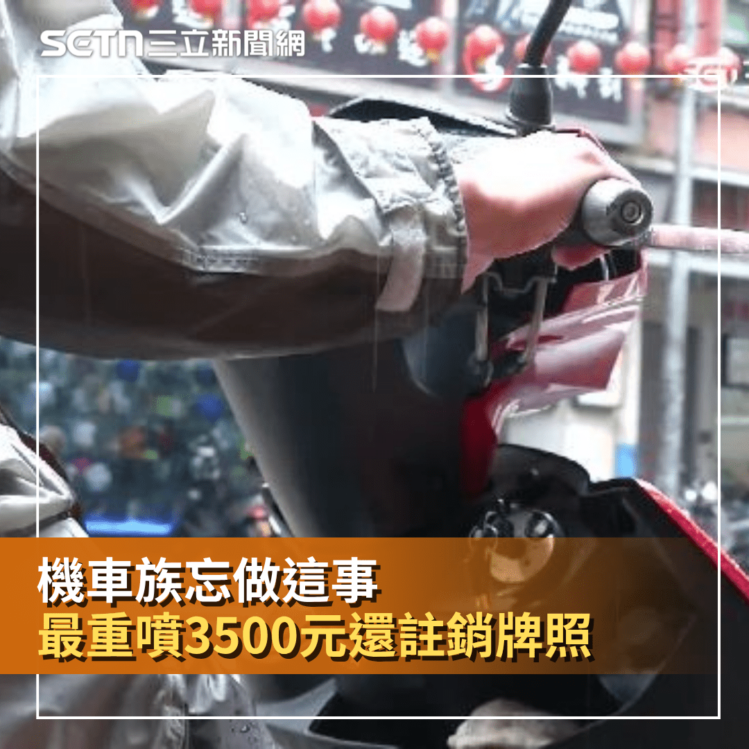 註銷 牌照 處分 書 (99) 사진