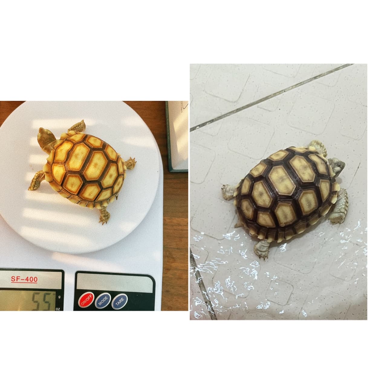 megapx
