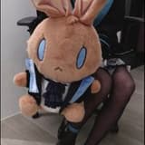 Amiya兎兎