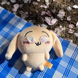 烤地呱呱