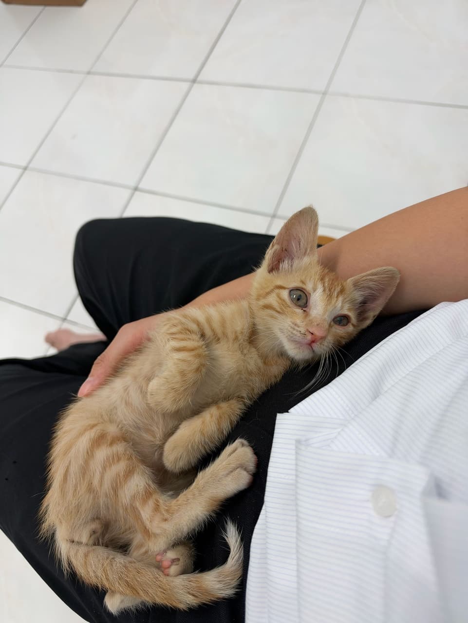 megapx
