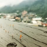 培根蛋吐司
