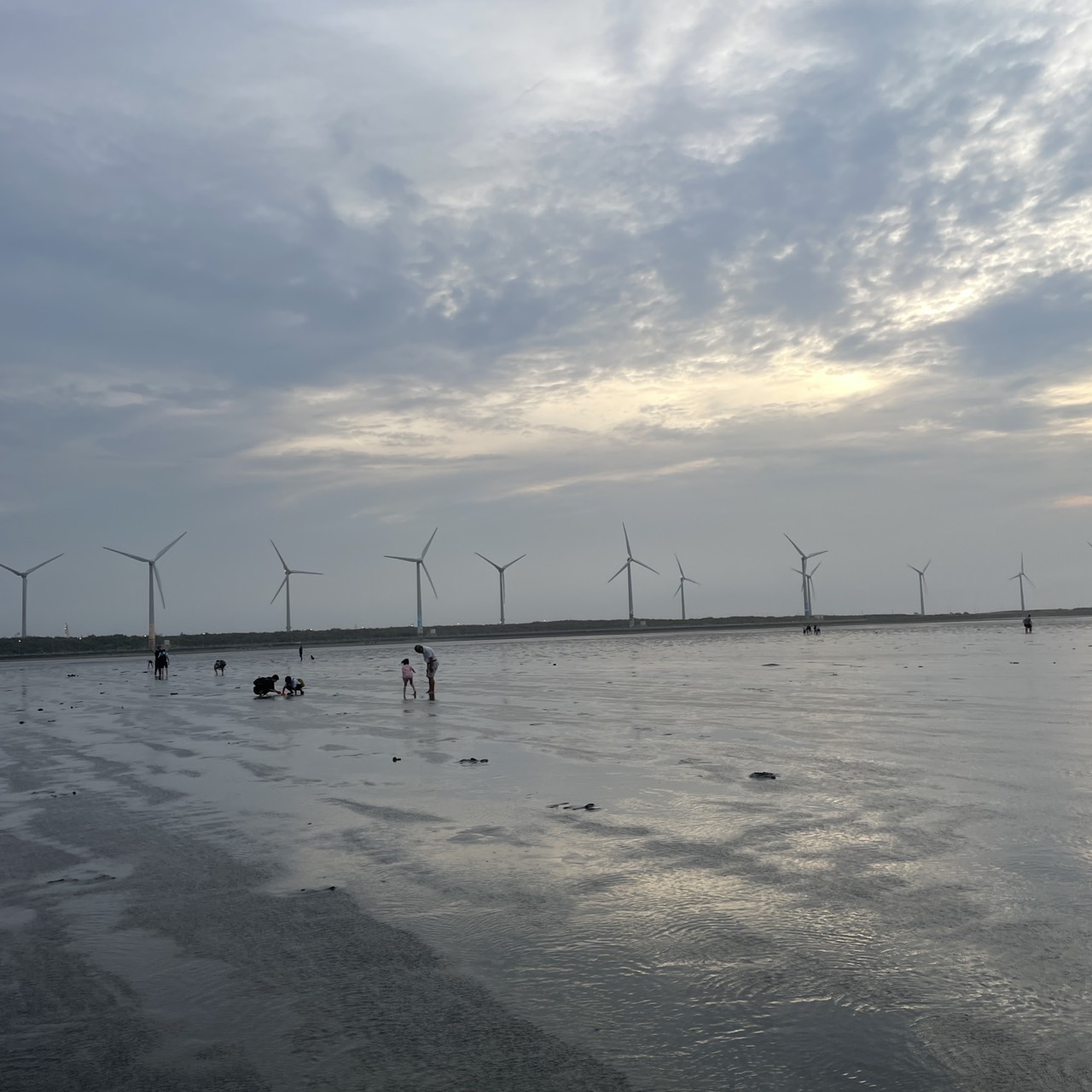 國內遊記 高美濕地半日遊～