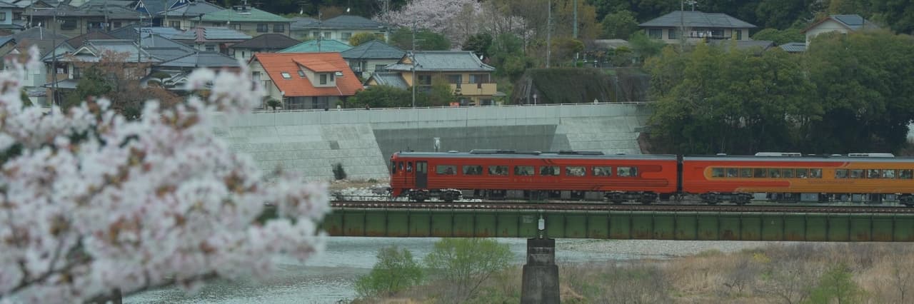 蝶野廚🦋
