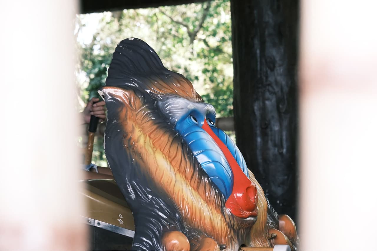 記憶中的遊樂園六福村 你敢搭大怒神嗎🎪 - 閒聊板 | Dcard