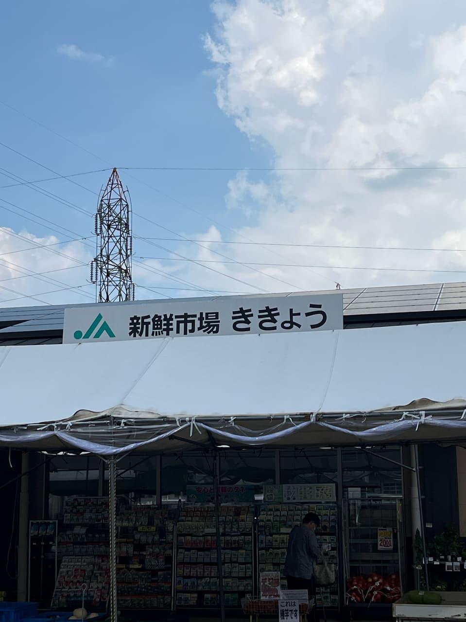 megapx