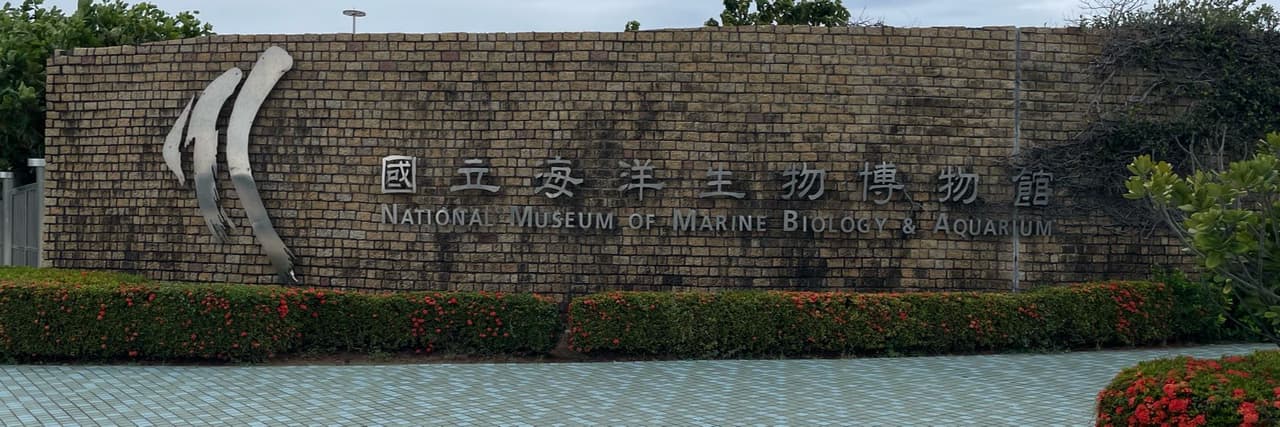 香蕉炸彈
