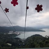 心秦