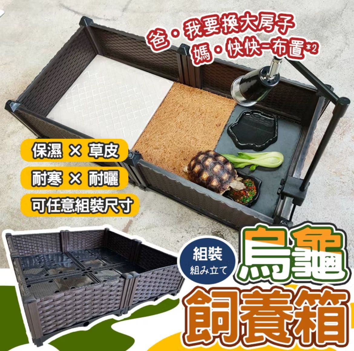 烏龜飼養的精選文章與討論｜Dcard