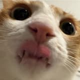 Bryan