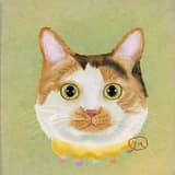 sandylin050907