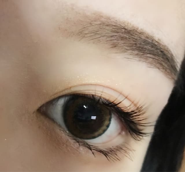 分享朵漾月拋森林綠 美妝板 Dcard