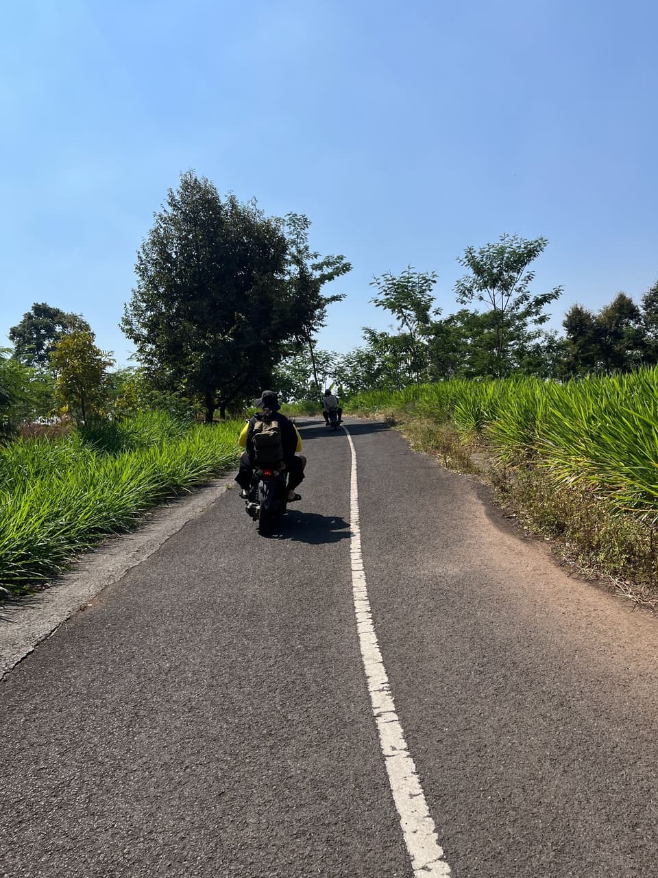 megapx