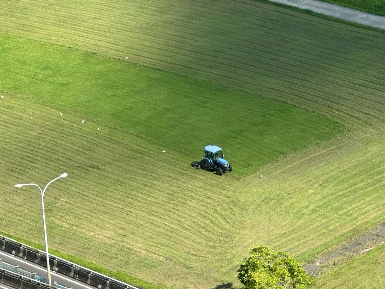 megapx