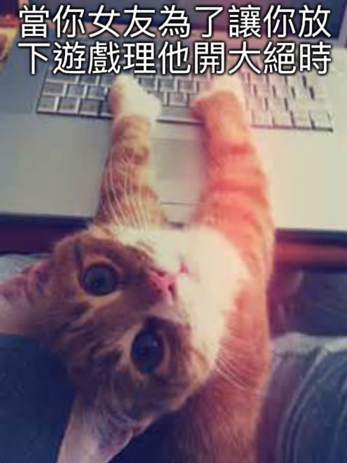 跳跳糖 梗圖板 Dcard