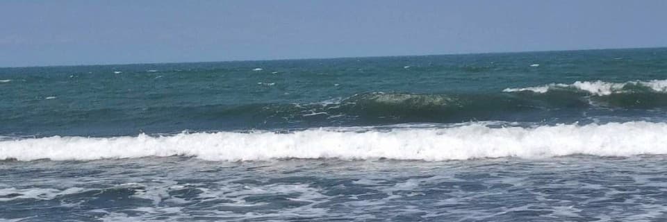 千夏